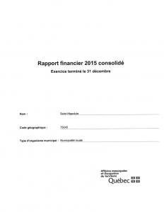 rapport-financier-2015