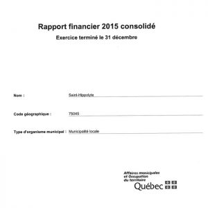 rapport-financier-2015